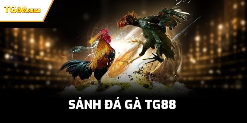ĐÁ GÀ TG88