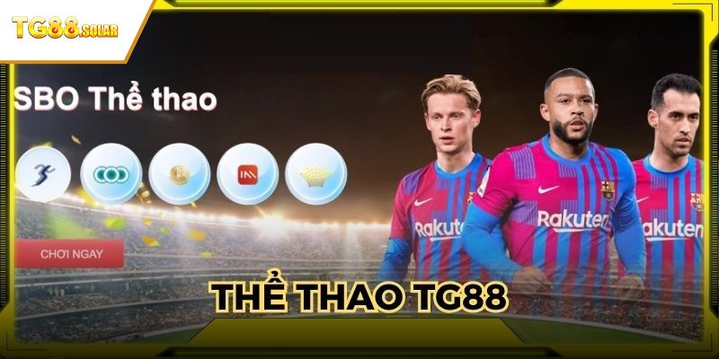 Khái quát chung về sảnh thể thao TG88