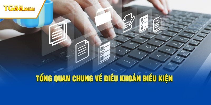 Thông tin về điều khoản và điều kiện TG88