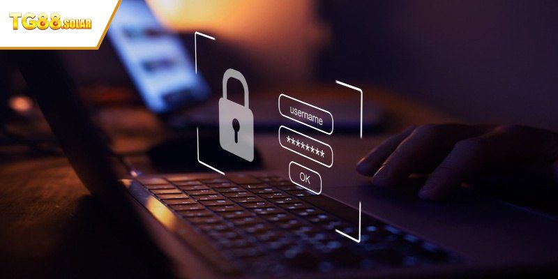 Trách nhiệm về thông tin cược thủ tại nhà cái